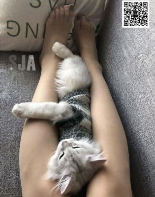欧美3p大片_剧情片电影在线观看